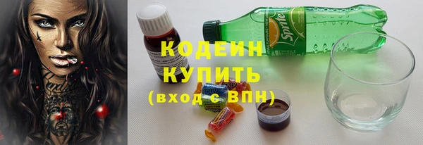 гашик Инта