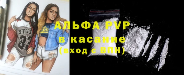 гашик Инта