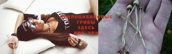 соль курить ск Снежногорск