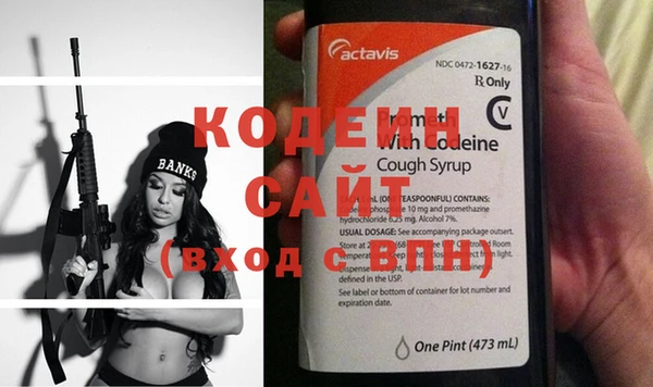 гашик Инта