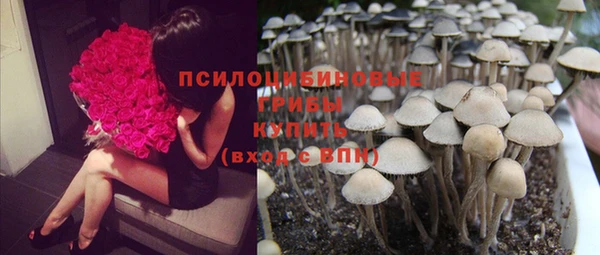 гашик Инта