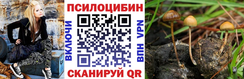 сколько стоит  Сосногорск  Галлюциногенные грибы GOLDEN TEACHER 